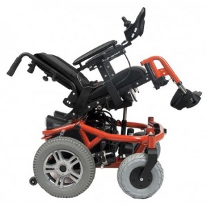 Forest Kids - VERMEIREN